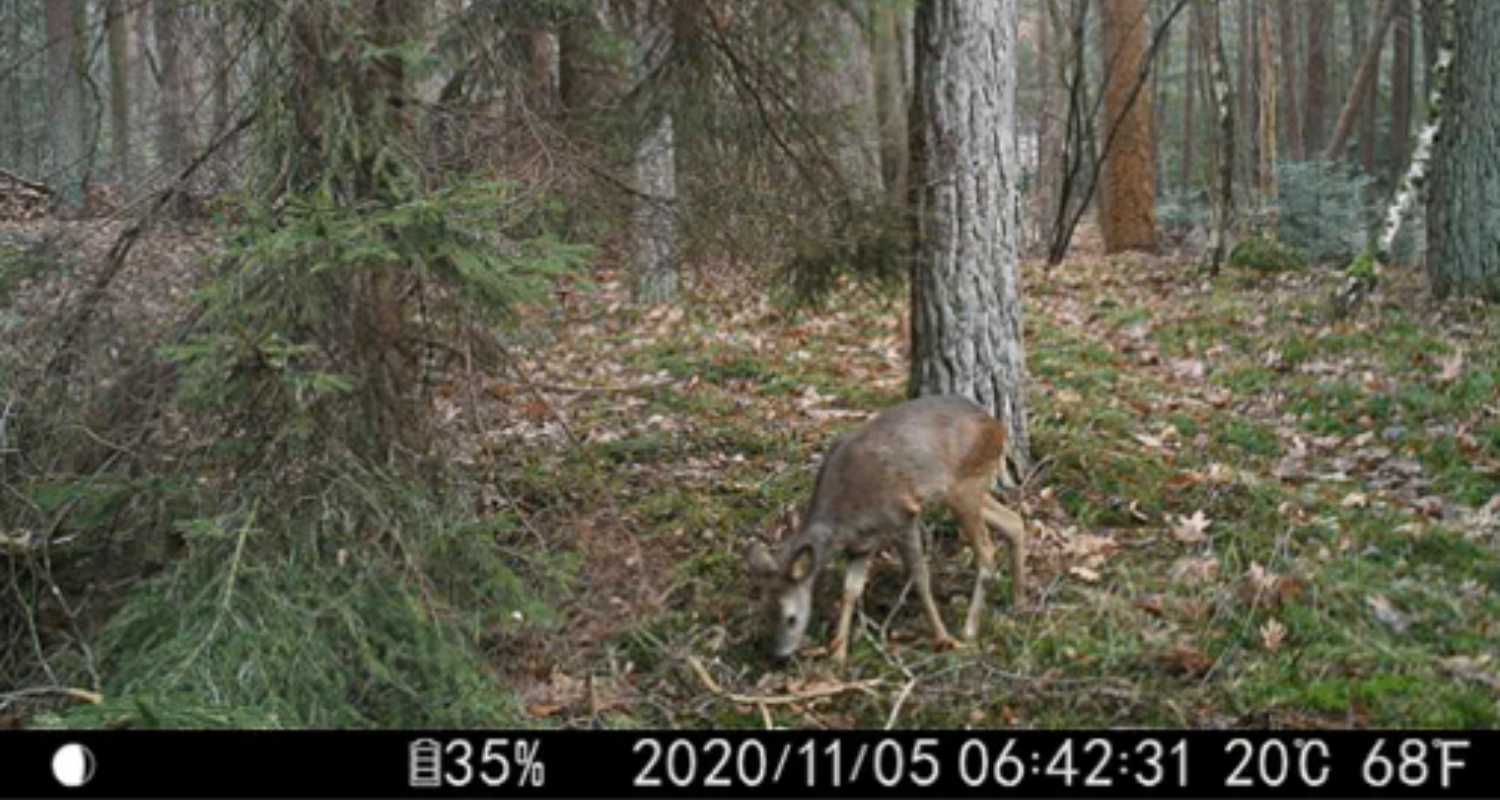 EZ45 WIFI - Image 2