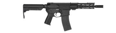 BANSHEE, Mk4, .22LR, 9", NFA